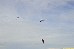 Venice kite festival_0550